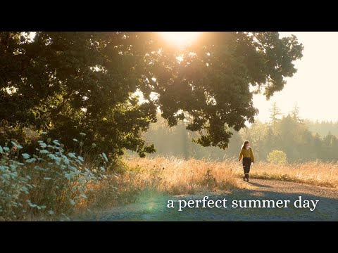 a perfect summer day ☀️
