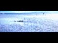 rain tree crow - pocket full of change 
