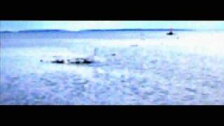 rain tree crow - pocket full of change