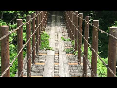 五家荘・樅木の吊橋