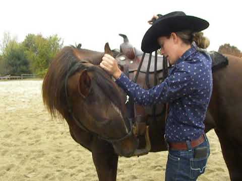 KT's Training Tips - Flexing with Ear