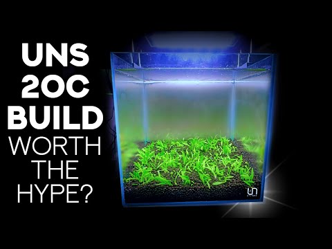 Building a Crystal-Clear Nano Planted Tank for Photography - 2.1 Gallon Aquascape