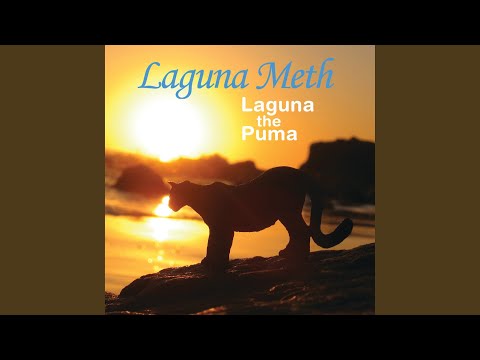 Laguna Meth