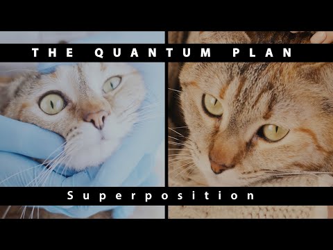 Superposition - The Quantum Plan EP01