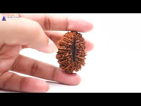 Rudraksha Product Image