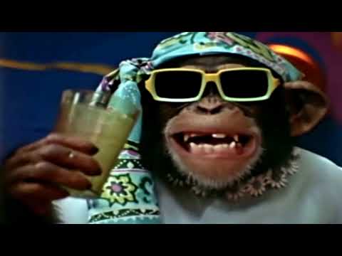 Evolution Revolution Performing Real Live Kissing Doll