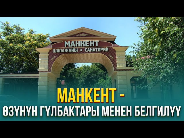 Манкент - өзүнүн гүлбактары менен белгилүү |