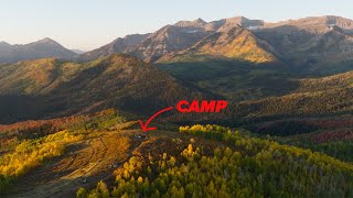 Epic Utah Fall Colors: Hidden Camping Spot Revealed