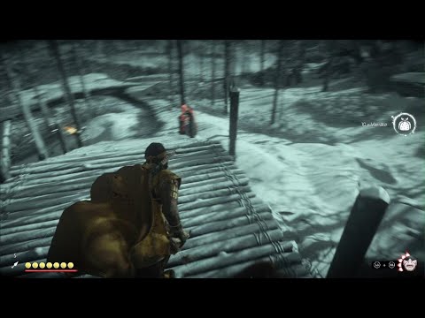 Ghost of Tsushima Kopf ab.