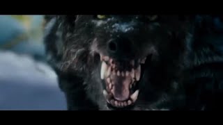 Amon Amarth-Live for the Kill (The Grey)