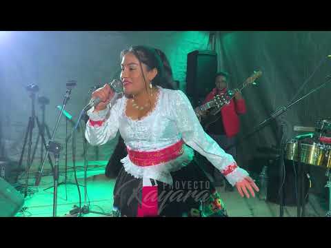 Kayara Mix Tu boda | Fiesta Patronal en Honor a San Antonio de Padua ♫ Chaupi Ancash 2024