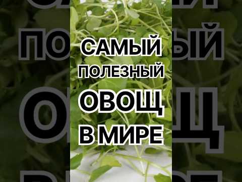 Самый Полезный Овощ в Мире #здоровье