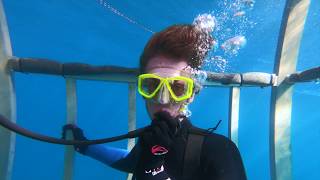 preview picture of video 'Great White Sharks off Baja Mexico. Cage Diving in the Pacific.'