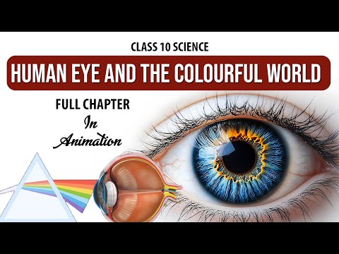 Human Eye and Colourful World  Full chapter  (Animation) | Class 10 Science Chapter 11