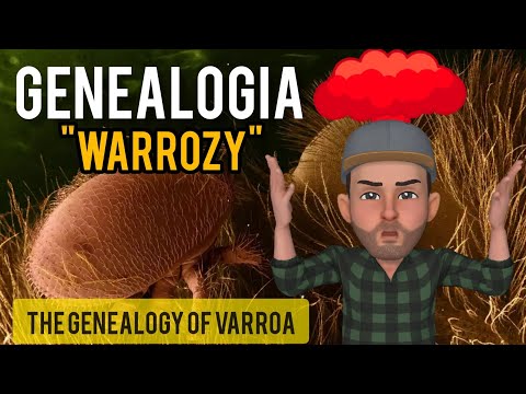 , title : 'Varroa destructor genealogia #warroza #pszczoły #pasieka #varroa #destructor #genealogia'