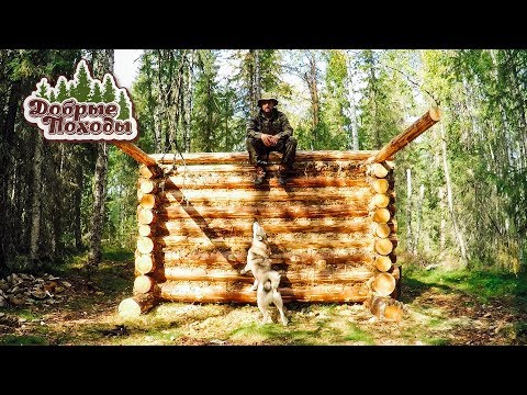 ПОХОД В ЛЕС К ИЗБЕ КОТОРУЮ СТРОИМ. 🌲🏕️👈
