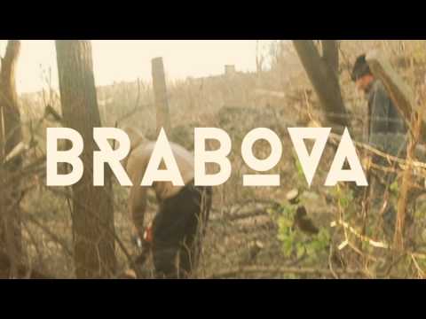 BRABOVA,DOLJ,ROMANIA ,TAIERI ILEGALE