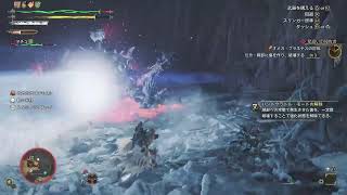 [MHWS]オメガ・プラメデス初見だけ