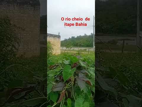 rio cheio de itape Bahia