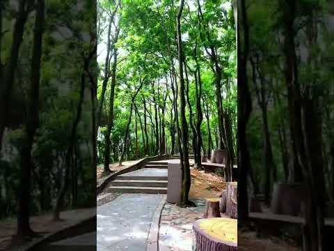 Yangtai mountain forest park 陽臺山森林公園