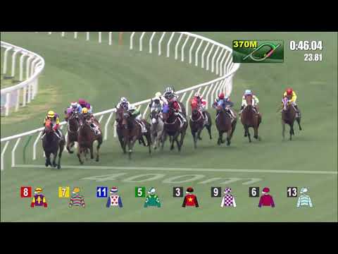 28/2/2021 (460) Iron King - Z Purton