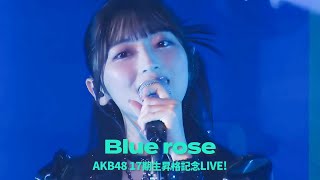AKB48 17期18期 - Blue rose [日本語字幕] [4K] 佐藤綺星 久保姫菜乃 橋本恵理子 布袋百椛
