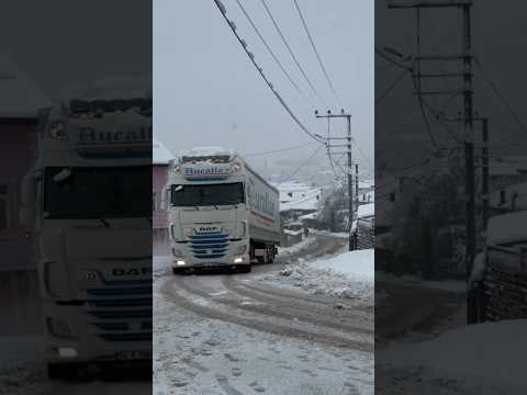 DAF IN WINTER