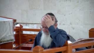 שורשים של הפירוד בין יהודה לישראל - שיעור 113 - שמואל ב' - פרק י"ט (הרב אורי עמוס שרקי) - התמונה מוצגת ישירות מתוך אתר האינטרנט יוטיוב. זכויות היוצרים בתמונה שייכות ליוצרה. קישור קרדיט למקור התוכן נמצא בתוך דף הסרטון