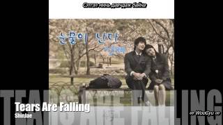 [MGL SUB] 49 Days OST - Tears Are Falling ( ShinJae )
