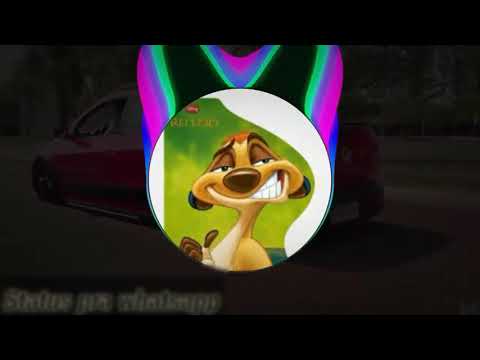 Aqui na selva quem dorme é o leão (FUNK REMIX)