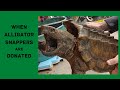 Turtle Donation Day Lifetime Decisions Are Made