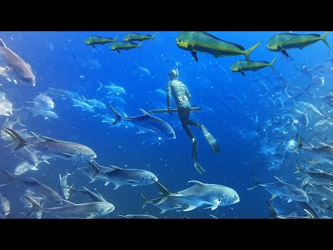 Not Expecting This! |10,000 Fish While Spearing OFFSHORE! {Catch Clean Cook}