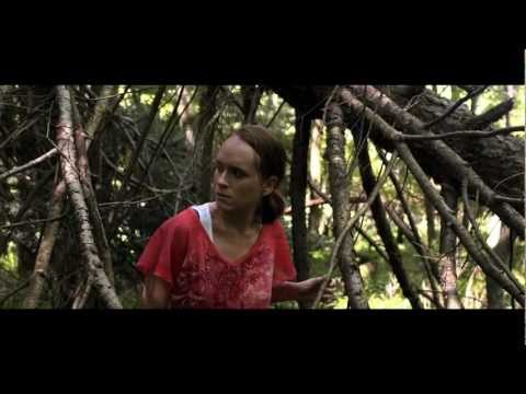 afbeelding Animosity