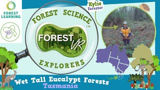 ForestVR - Forest Science Explorers: Tall Wet Eucalypt Forests  -- 4K