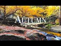 The Edgar Winter Group -  Autumn 1972 HQ