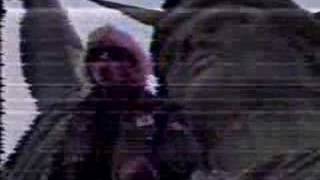 Tommy Shaw - What If