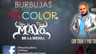 Burbujas Tricolor - El Mayo De La Sierra