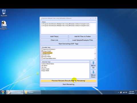 Rename Multiple Files Using Metadata Software