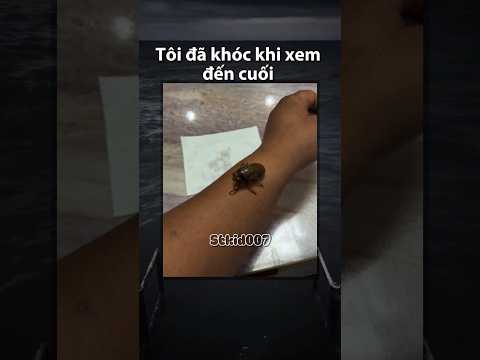 🪲 cảm thấy hạnh phúc, gặp được một vị thần nhân hậu..! #memes #funnymemes