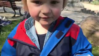 April 2019 Video Update