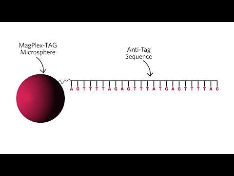 xTAG Technology Overview