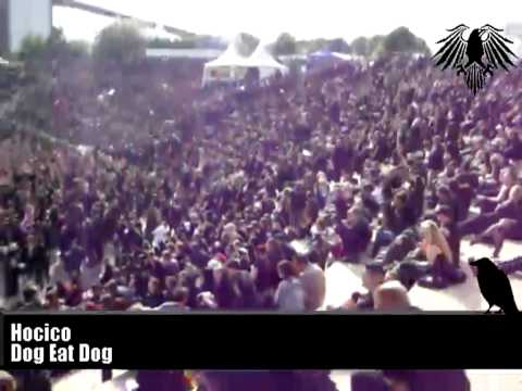 Blackfield-Festival 2012 - Der Bericht - Part 1