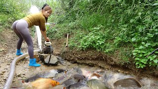 Full Videos: Girl's Daily Life, Harvesting a Lots of Fish in the Wild, Go To Countryside Market Sell