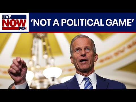 Video | Sen. John Thune on day 15 of government shutdown | LiveNOW from FOX