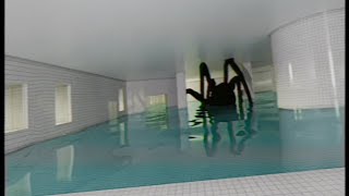 Cover art for The pool roms