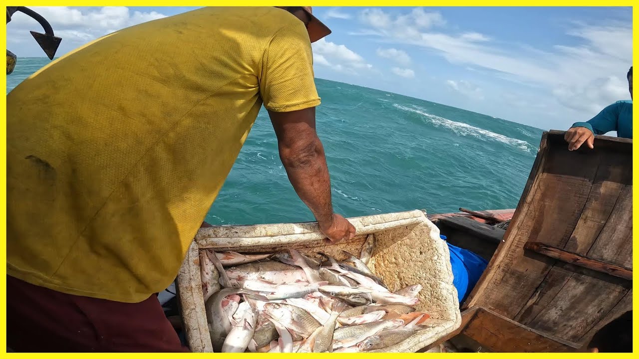 ATENÇÃO! MUITA FARTURA NA PESCARIA EM ALTO MAR - ASSISTA ATÉ O FINAL!!!