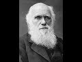 Bodi Darwin House
