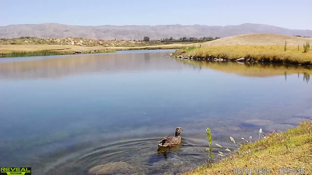 S3E15: A day at the water stations and lakes with some of the resident and visiting wildlife