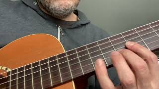 Video thumbnail for Art and Lutherie Aml Nylon Cedar by Michael Pekar