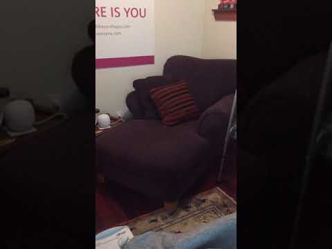 Scott's Home! 11.22.2019